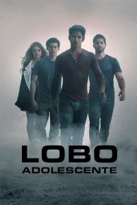 Lobo Adolescente